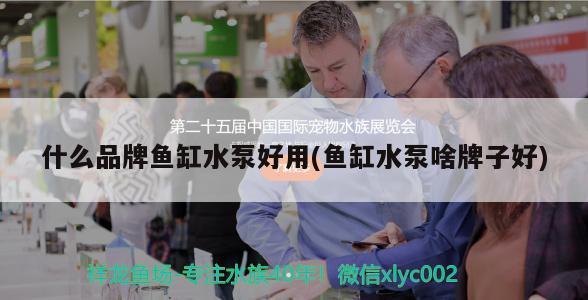 劉瑞平（劉瑞平江蘇師范）