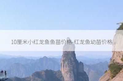 10cm紅龍魚魚苗價格多少錢一條：10cm紅龍魚魚苗價格