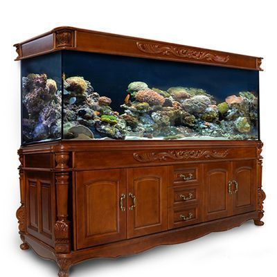 龍魚缸內出現白色線蟲是什么：如何自然防治龍魚缸內出現白色線蟲問題