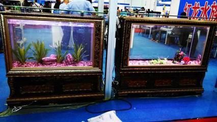2024上海水族展會(huì)祥龍魚場：2024年上海國際水族展會(huì)祥龍魚場2024年上海國際水展