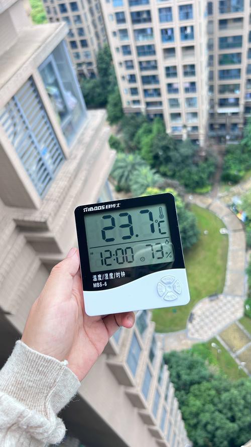 有哪些品牌的高精度電子溫度計推薦？