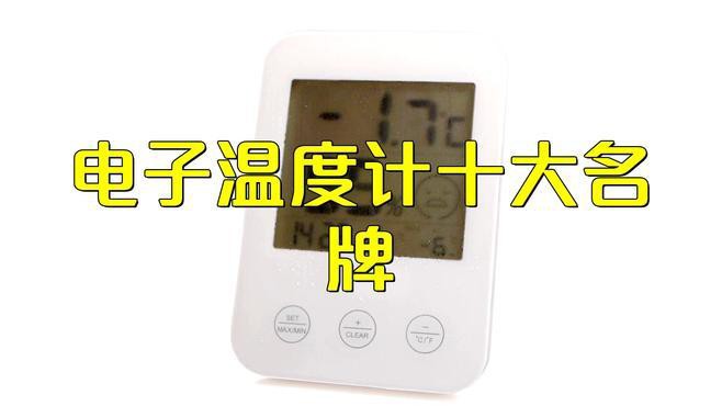 有哪些品牌的高精度電子溫度計推薦？