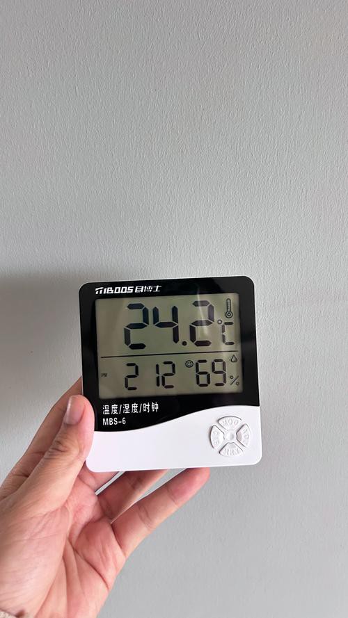 有哪些品牌的高精度電子溫度計推薦？