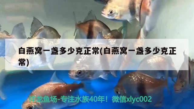 江海區(qū)鴻洋水族館（江海區(qū)鴻洋水族館電話）