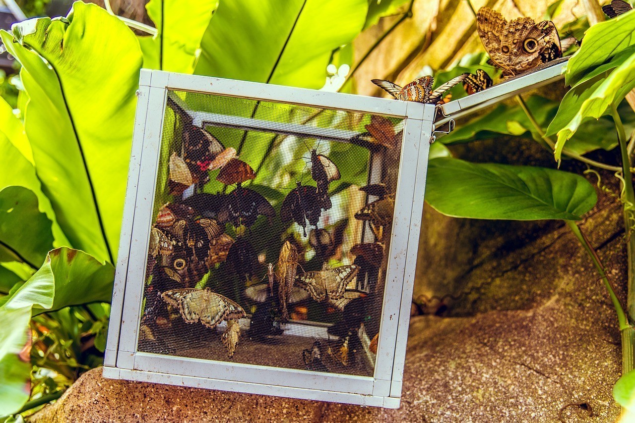 溆浦縣龍潭溫馨花屋 全國水族館企業名錄 第4張 溆浦縣龍潭溫馨花屋 溆浦縣龍潭溫馨花屋 全國水族館企業名錄 第4張