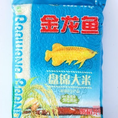 高要區金利鎮年年有魚水族館