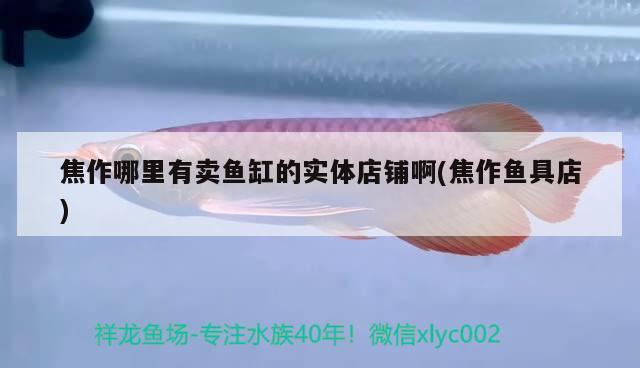 焦作哪里有賣魚缸的實體店鋪啊(焦作魚具店)