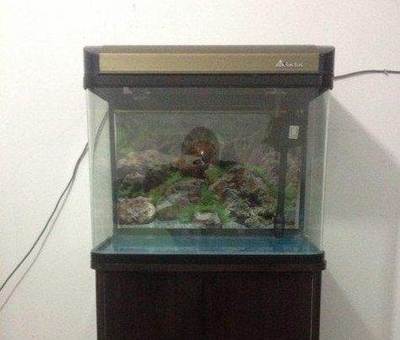 武威市涼州區(qū)越躍躍水族館店（甘肅武威越洲置業(yè)有限公司）