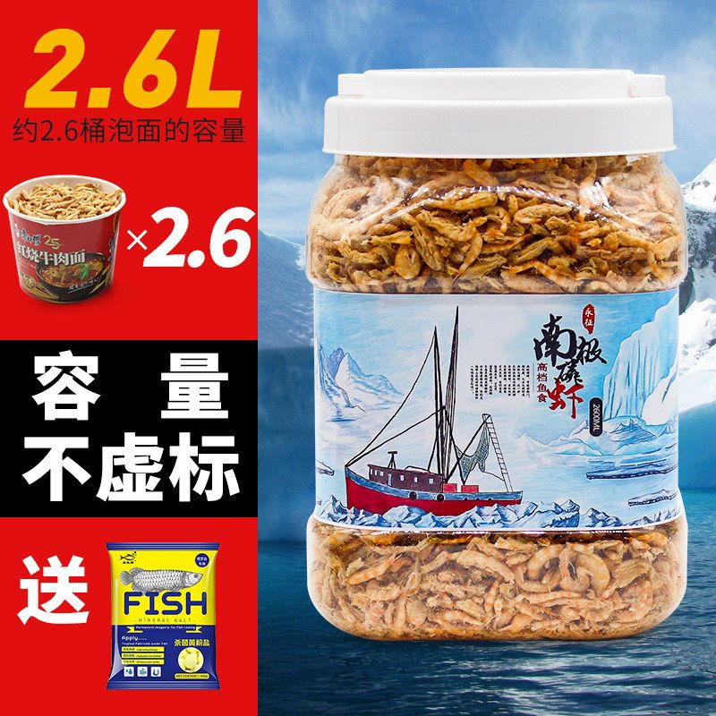 成年銀龍魚多久喂一次龜糧好（成年銀龍魚多久喂一次最合理銀龍魚多久喂一次）