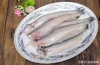 東海小白龍魚的做法（東海小白龍豆腐魚的做法）