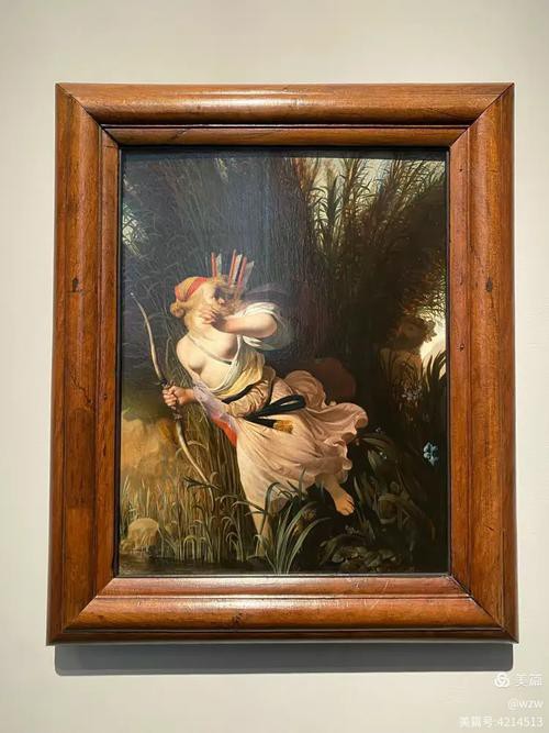 哪里可以找到這些插畫？