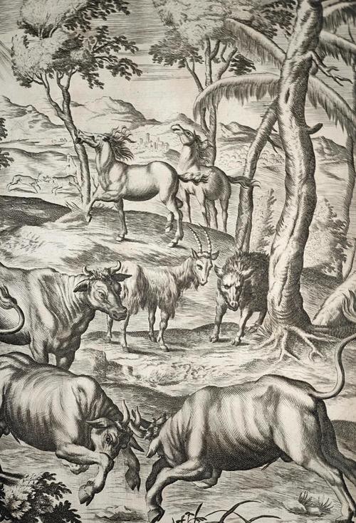 哪里可以找到這些插畫？