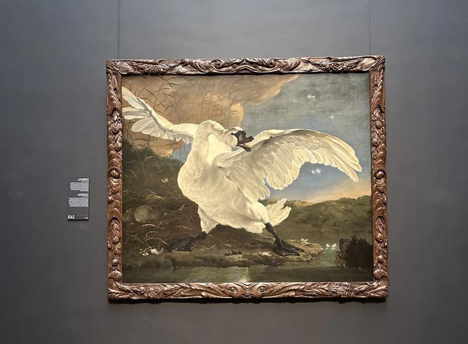 哪里可以找到這些插畫？