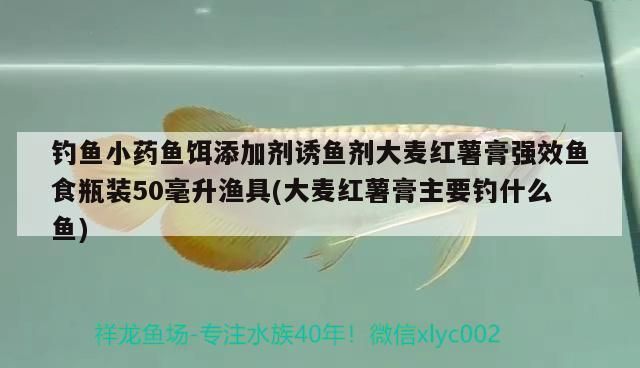龍魚魚糧中常見添加劑介紹：龍魚專用魚糧配方推薦，龍魚魚糧添加劑的安全標準