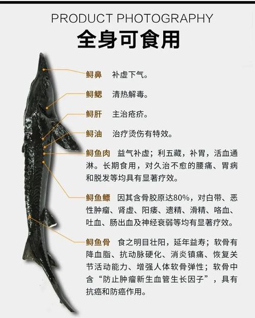 中華鱘龍魚圖片市場價