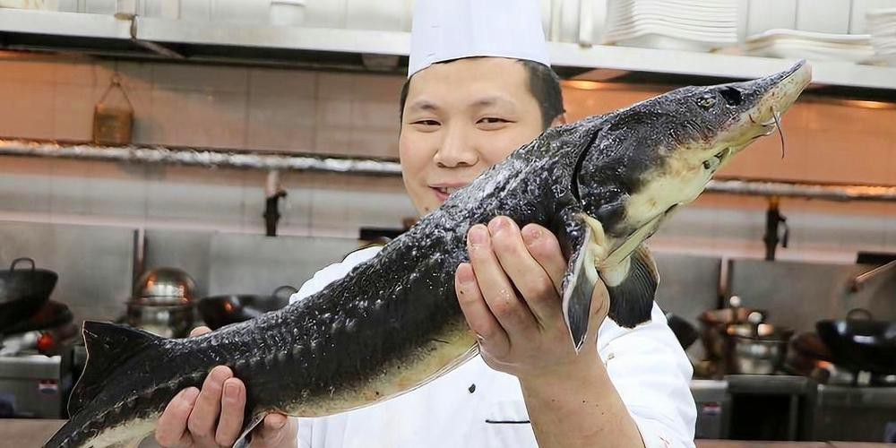 中華鱘龍魚圖片市場價