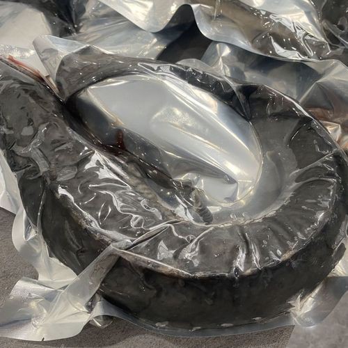 中華鱘龍魚圖片市場價