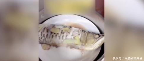 蘇尼特右旗森森水族（蘇尼特右旗生態環境監測站）