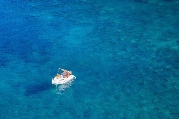 60公分銀龍魚價格多少錢一條：60公分的銀龍魚價格在300-500元之間