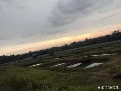 國內(nèi)龍魚繁殖場排名前十（國內(nèi)龍魚繁殖場排名前十名）