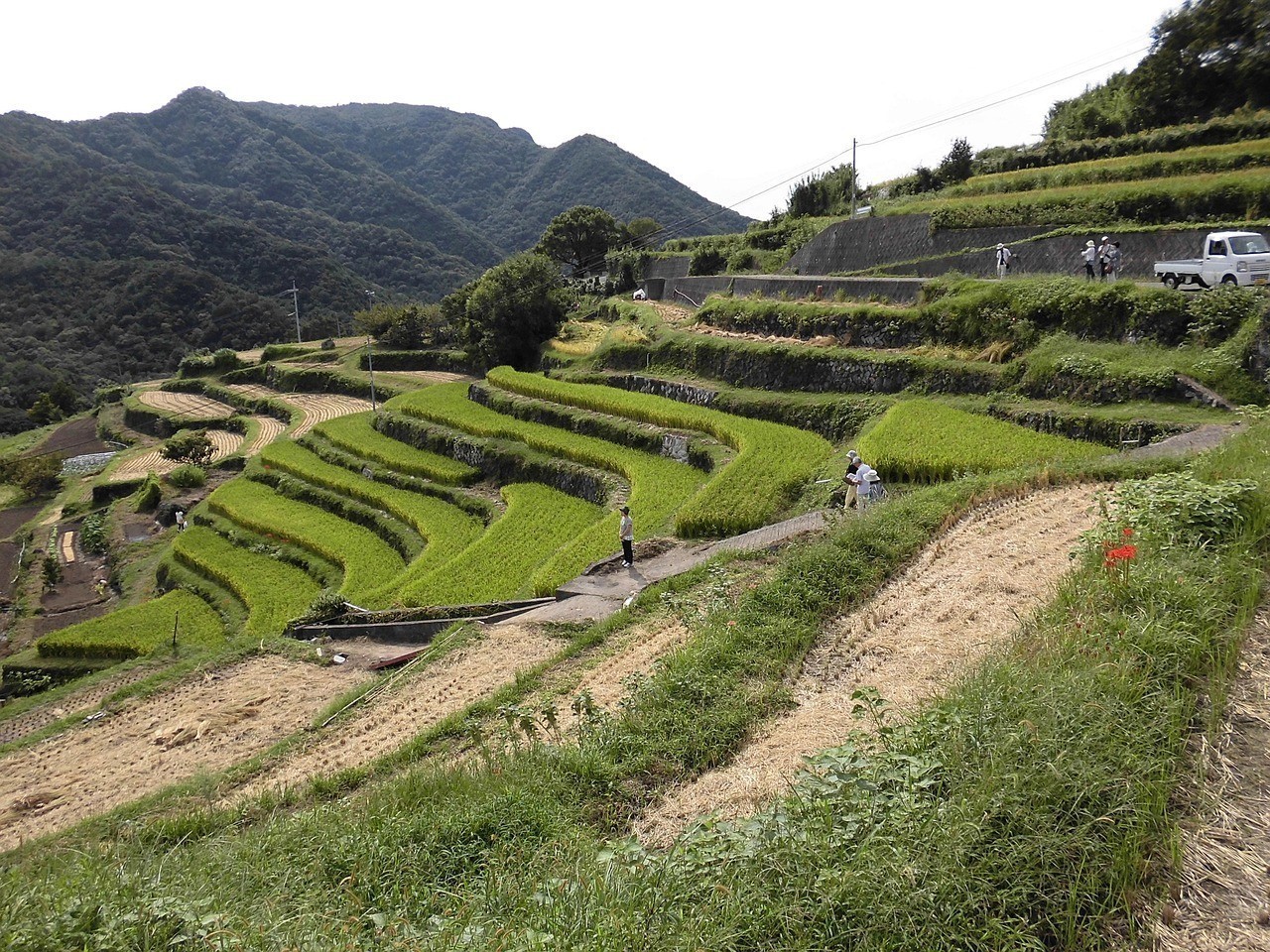 大同市平城區花海木屋花坊（大同縣花海）