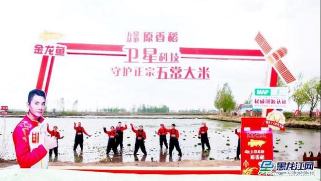 金龍魚有自己種植基地嗎：金龍魚回應自建生態種植基地