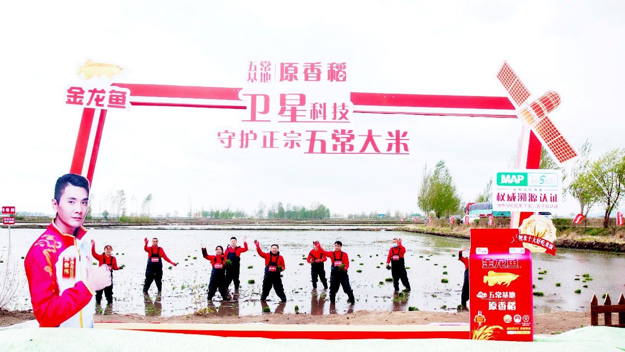 金龍魚有自己種植基地嗎：金龍魚回應自建生態種植基地