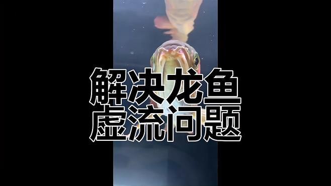 銀龍魚的須爛了怎么辦