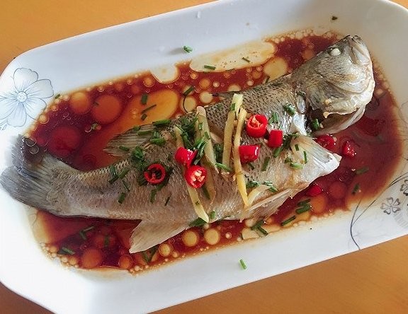 龍頭魚和龍利魚哪個更有營養？