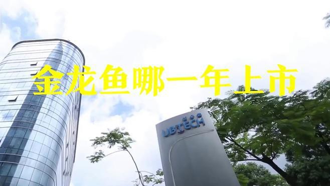 金龍魚上市首日