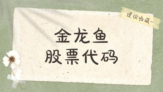 金龍魚上市首日