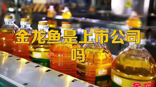 金龍魚上市首日