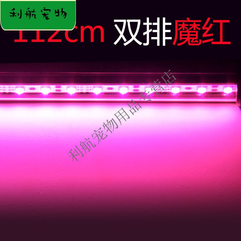 養紅龍魚缸用幾根燈管好：紅龍魚飼養燈具選擇和布置