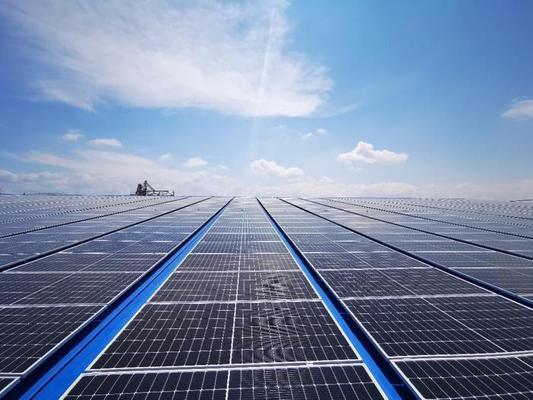 諸城市鴻運水族館（諸城市鴻運水族館電話）