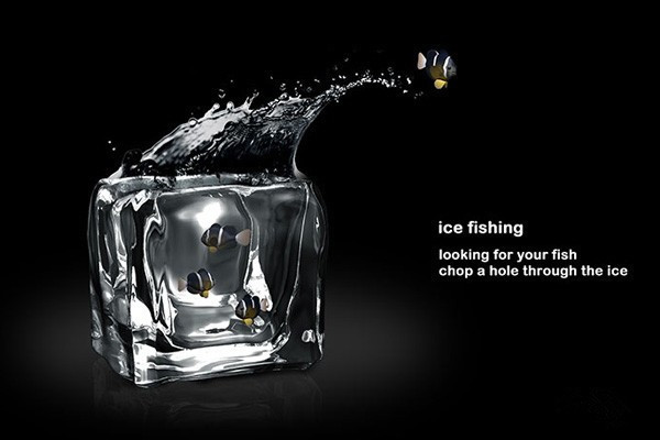 汶上縣情緣花卉水族館（汶上縣情緣花卉水族館電話）