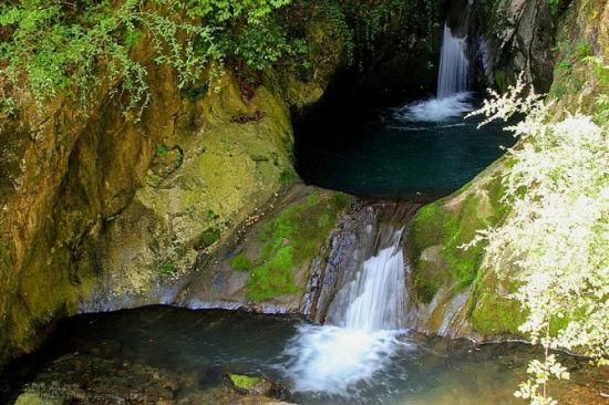 40cm龍魚一天吃多少斤飼料正常呢（40厘米的龍魚每天喂食一次即可,每天喂食一次即可）