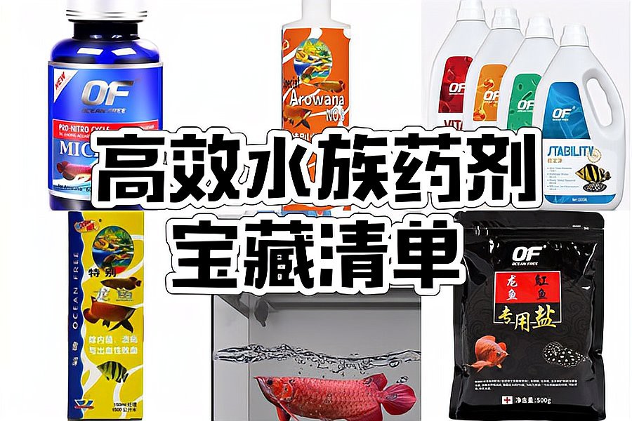 有哪些有效的龍魚內寄藥物？