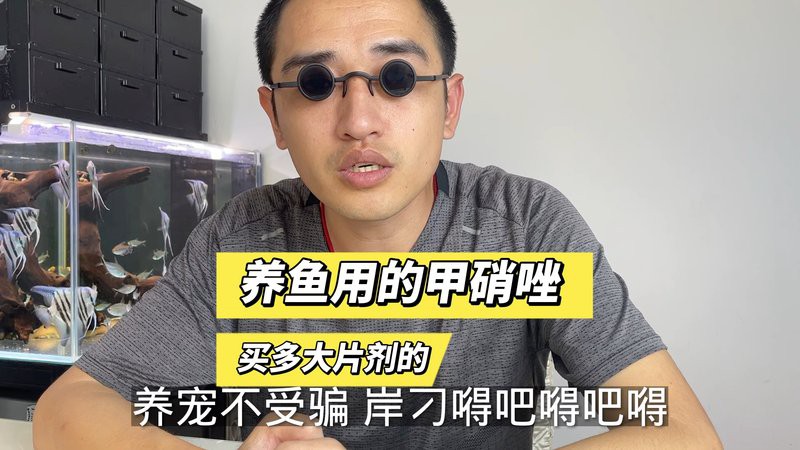 有哪些有效的龍魚(yú)內(nèi)寄藥物？