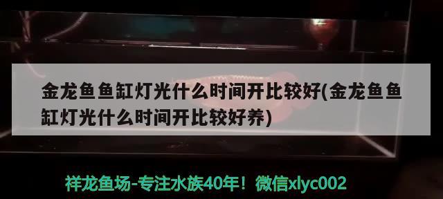 嘉峪關至尊宏鼎水族店