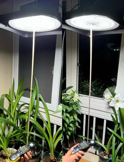 有哪些燈管適合模擬自然光