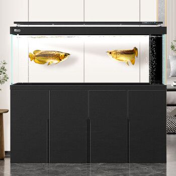 80的魚缸養龍魚會死嗎（80的魚缸養龍魚不會死，但龍魚的生長會受到限制）