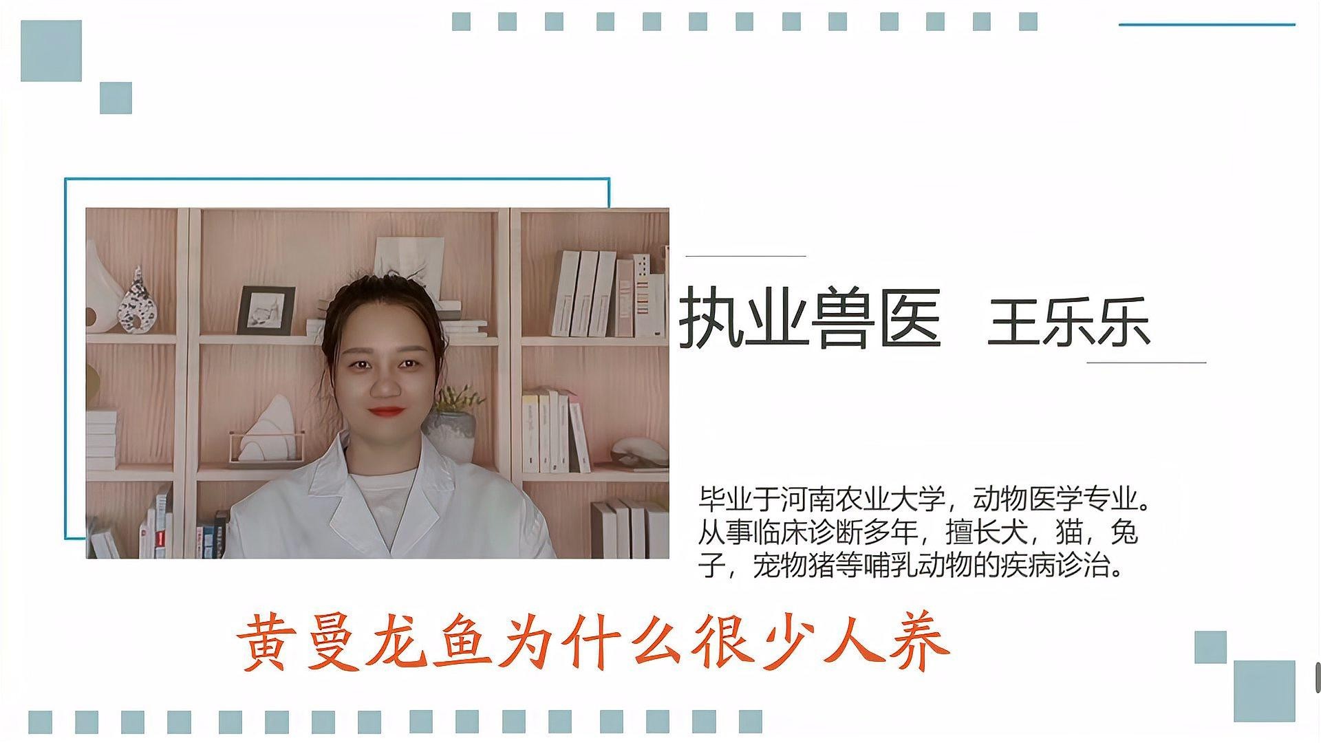 黃曼龍魚圖片