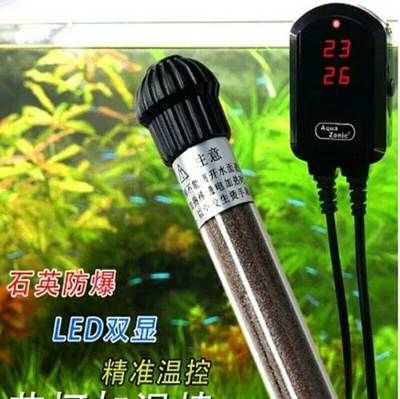 養龍魚用什么加熱棒什么牌子好：養龍魚用什么加熱棒