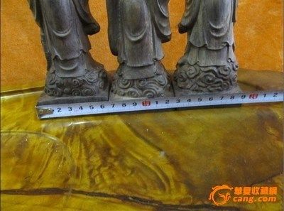 能和曼龍魚一起養(yǎng)的魚：什么魚可以跟曼龍魚混養(yǎng)？適合曼龍魚的混養(yǎng)伙伴指南
