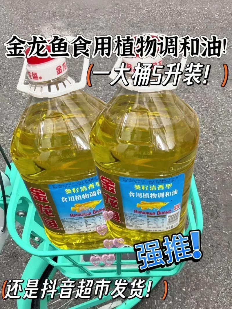 金龍魚5升價格及圖片