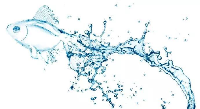 魚缸用增氧泵價格是多少:魚缸增氧機-xtrac增氧機-xtrac增氧機 陽江市江城榮記水族館(陽江市江城榮記水族館電話) 全國水族館企業名錄 陽江市江城榮記水族館(陽江市江城榮記水族館電話) 陽江市江城榮記水族館(陽江市江城榮記水族館電話) 全國水族館企業名錄