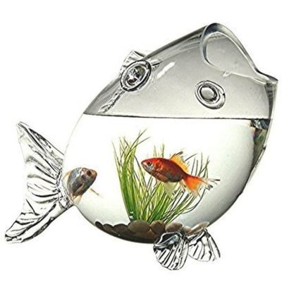 金魚養護的風水講究：金魚養護風水禁忌事項,不同顏色金魚的風水寓意,金魚缸安裝吉日查詢方法