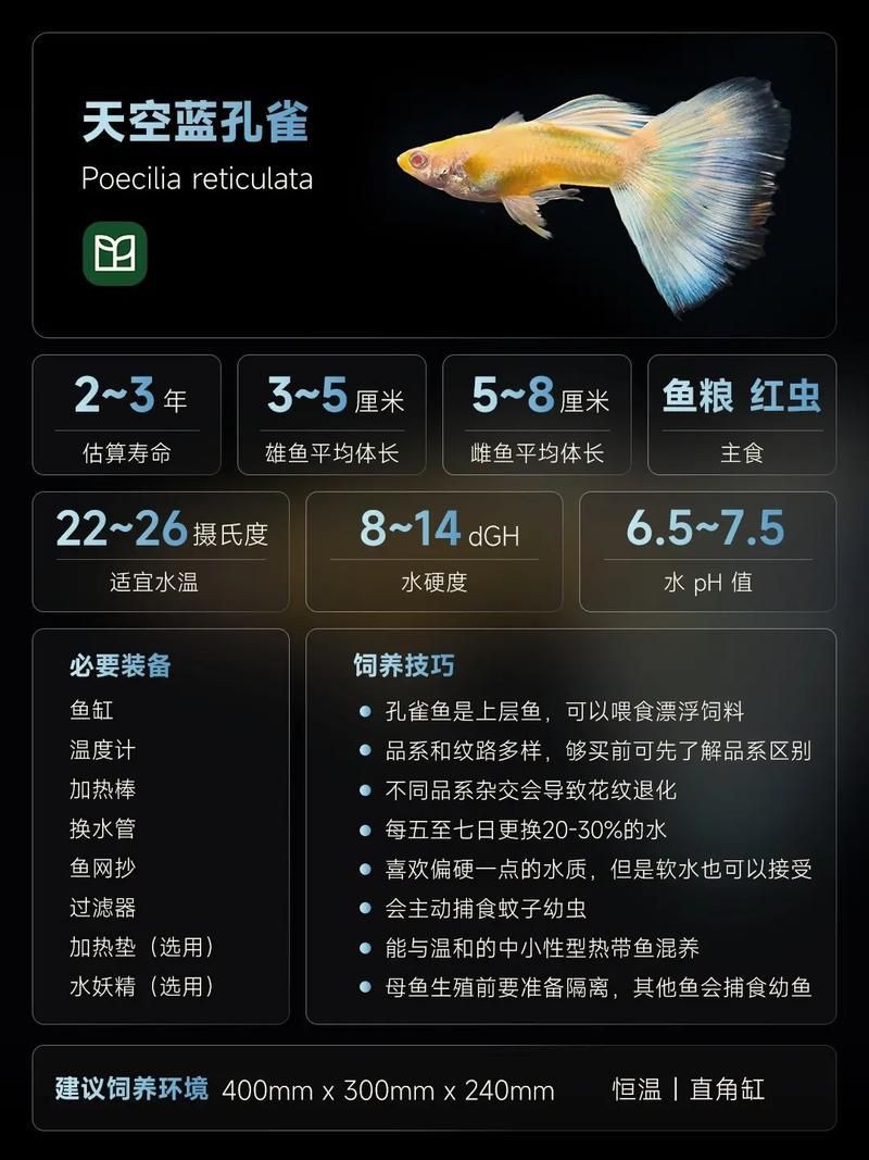 孔雀魚雜交公式圖