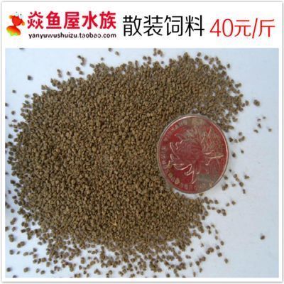龍魚飼料怎么制作視頻講解:如何制作龍魚飼料