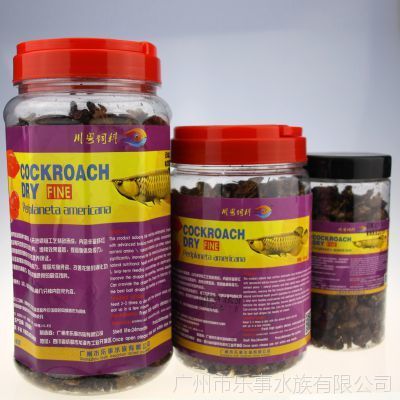 龍魚的飼料可以喂羅漢魚嗎：羅漢魚專用飼料品牌推薦，羅漢魚凍餌自制方法